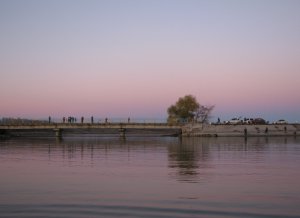 IMG_7406.JPG