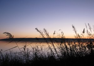 IMG_7410.JPG