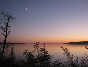 IMG_7411.JPG