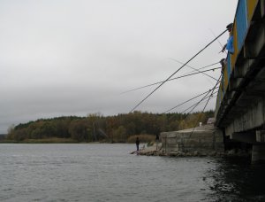 IMG_7442.JPG