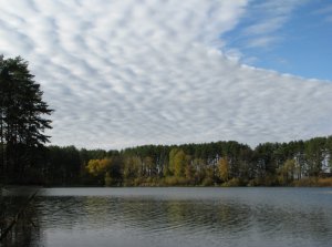IMG_7477.JPG