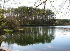 IMG_7492.JPG