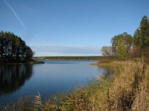 IMG_7532.JPG
