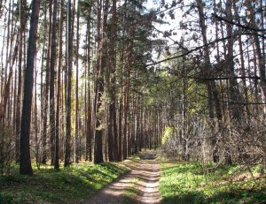IMG_7468.JPG