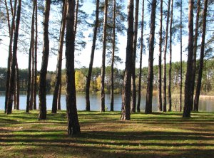 IMG_7509.JPG