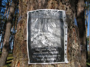 IMG_7501.JPG