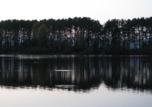 IMG_7578.JPG