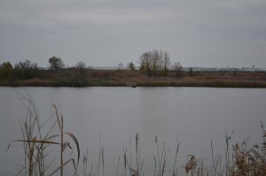 DSC_0072.jpg