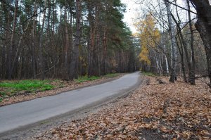 DSC_0094.jpg