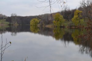 DSC_0118.jpg