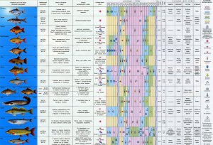 rybolovnyj-kalendar1.jpg