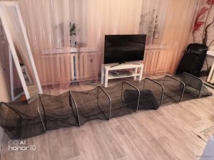 IMG_20181123_184454.jpg