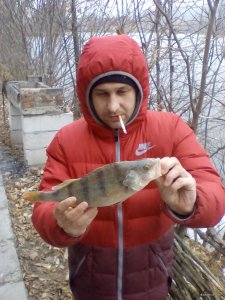 IMG_20181125_092451.jpg