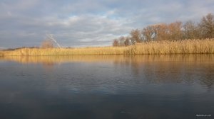20181123_084449.jpg