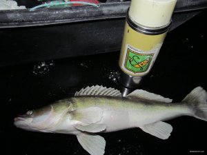 IMG_9879.JPG