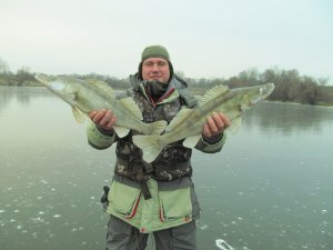 IMG_9887.JPG