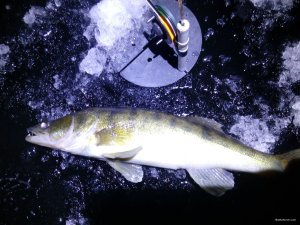 IMG_20181124_220157.jpg