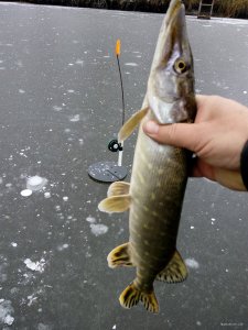 IMG_20181125_102503.jpg
