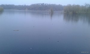 0-02-09-db003c5da1ab45da2c26311d6694b7db217bfceb681b242fba3c5b07f6a52985_88c13cf8.jpg