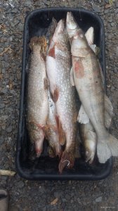 20181124_104535.jpg