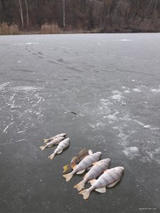 Зимняя 3.jpg