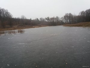 20181125_093522.jpg