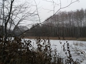 20181125_141917.jpg