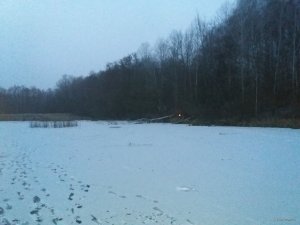 20181125_155902.jpg