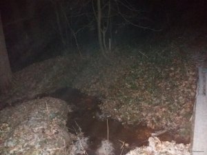 20181125_165739.jpg
