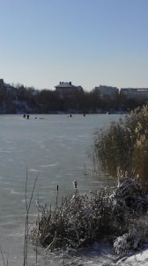 IMG_20181129_111008.jpg