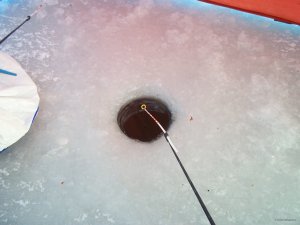 100_6765.JPG