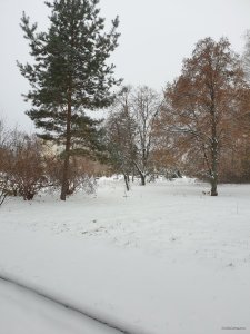 20181201_123505.jpg