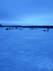 20181201_065126.jpg