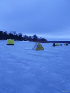 20181201_065143.jpg