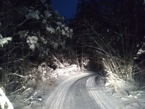 IMG_20181202_161354.jpg