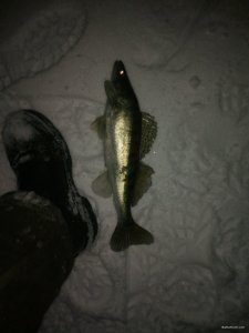 IMG_20181202_001720.jpg