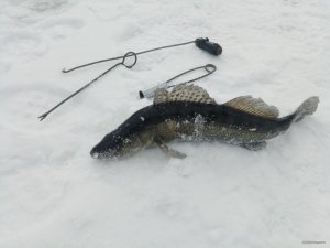IMG_20181202_112511.jpg