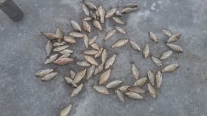 20181202_123346.jpg
