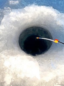 20181130_153756.jpg