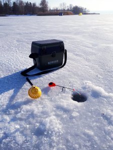 20181130_153424.jpg