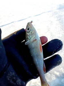 20181130_153716.jpg