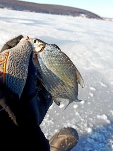 20181130_153616.jpg