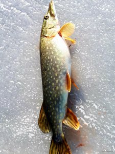 20181130_153539.jpg