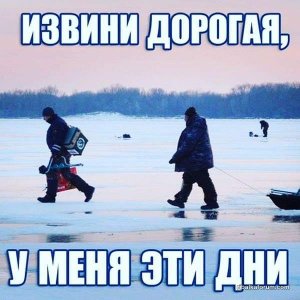 FB_IMG_1544027256345.jpg