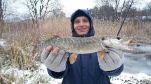 20181205_082815.jpg