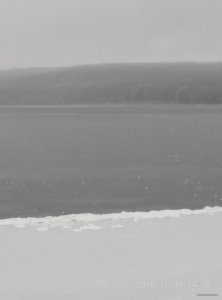 P81205-143817.jpg