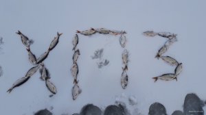 20181207_143439.jpg