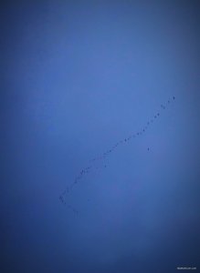 IMG_20181208_155121.jpg