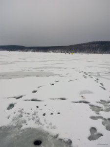 IMG_20181208_141632.jpg