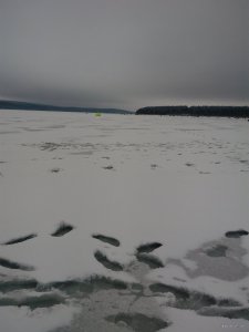 IMG_20181208_141638.jpg